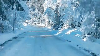 Winter 8