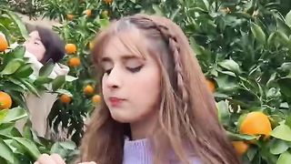 Alishba Anjum new TikTok video viral.