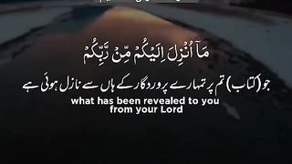 ????القرآن الحکیم????