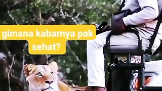 Katanya sampai sekarang masih saling pandang²ngan hahaa