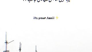 True????????????