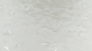 Segmen pembesaran lele dikolam tanah pakan EMON REBUS resikonya banyak bulu ayam ????
