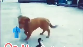 Good funny ????????????