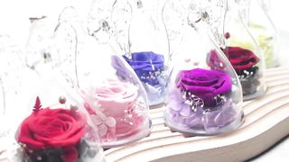 Sunia Angel Rose Figurines Angel Gifts