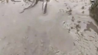 Amazing videos 33