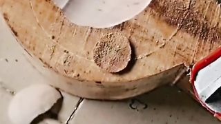 Amazing videos 34