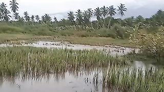 Kebun kebajiran membuat petani rugi besar