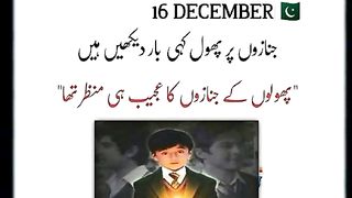 Sanha Peshawar aps