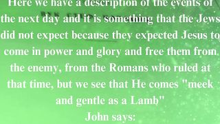 The Gospel according to John 48