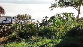 Sajek