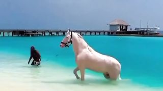 Horse living the best life