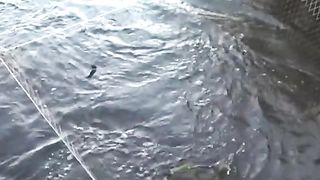 Рибалка