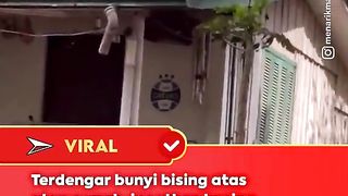 Berita Lucu