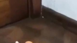 Compilation funny cat part 1