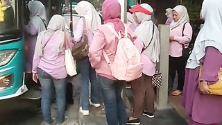 Bosmillah