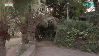 Siyaah_Series___Bar_Aks____Part_01___Presented_By_Tapal_Danedar_[Eng_CC]_Pakistani_Drama___Green_TV