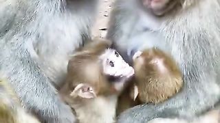 Beautiful Happy Family