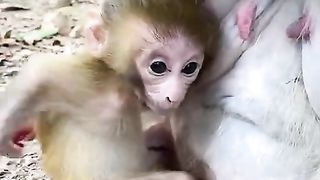 Beautiful Newborn