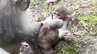 don't bother mom
