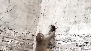 Got Scared And Fell
