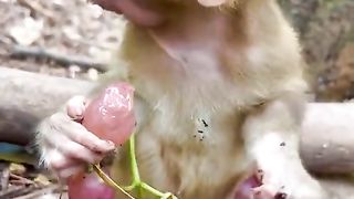 it's funny to eat grapes