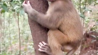looking for his poor mother