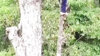 Nyali tingkat tinggi bapak penebang kayu
