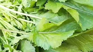 sarson ka saag recipe/sardiyo ka saag/winter recipe#saag#sarsonkasag/urdu recipe/welcome pak kitchen