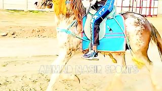 #febspot#foryou #foryoupage#horses#ridings#vedio60#ahmad#nasir#sports