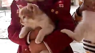 kids enjoying with Cats