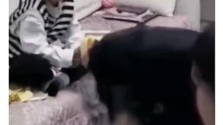 Funny Video #6