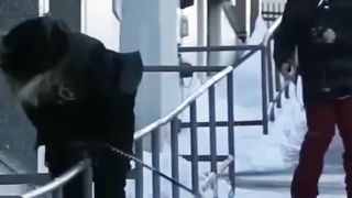 Funny Mishaps