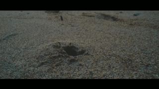 Ceramah Singkat Ustadz Adi Hidayat