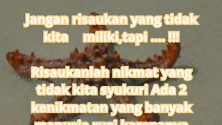 Nikmat Allah 2