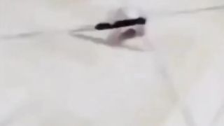 funny cat videos ???? 5 minutes funny animal