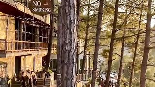Dino Valley Islamabad