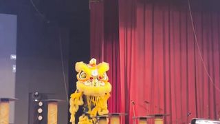 Lion dance performance