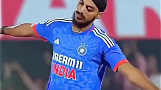 Cricket fan 2