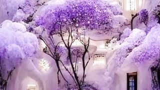 Amazing #viral #nature #youtubeshorts #shortvideo 8