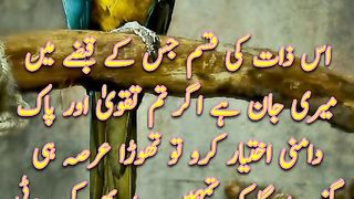 Hazrat Abu Bakar Quotes |  Quotes 2