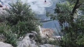Respect videos 14
