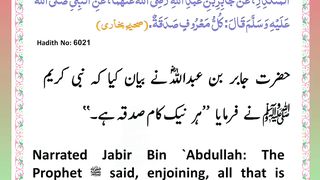 اسلامی معلومات Like share follow 143