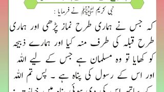 اسلامی معلومات Like share follow 141