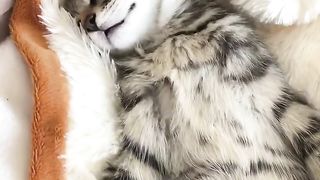 Ils s'aiment et c'est beau