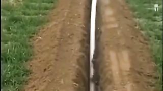 Amazing Skill 3
