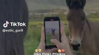 Funny videos # donkey