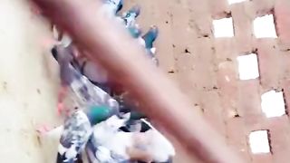 New parvaazi pigeon beautiful breeder pair 2