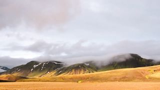 "Natural Symphony"