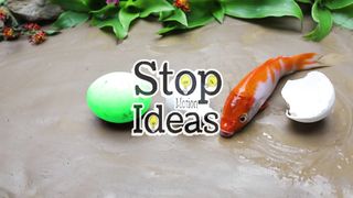 Stop Motion ASMR - Pink Carp Eggs, Catfish Eating Eel - Mud Cave Catfish