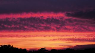 "Natural Majesty"